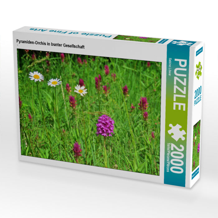 Pyramiden-Orchis in bunter Gesellschaft 2000 Teile Puzzle quer - CALVENDO Foto-Puzzle'