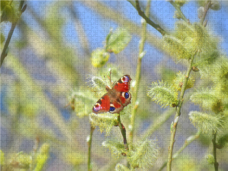 Peacock butterfly - CALVENDO photo puzzle 
