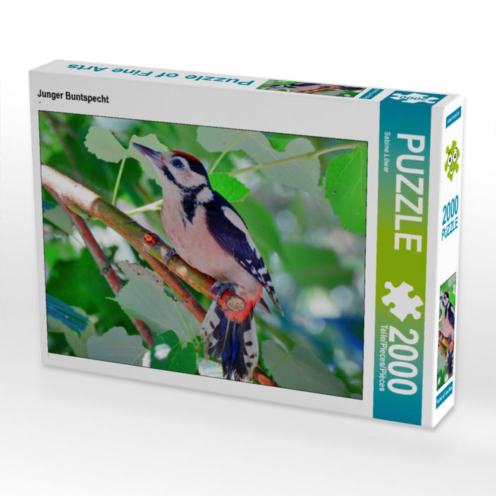 Junger Buntspecht 2000 Teile Puzzle quer - CALVENDO Foto-Puzzle'
