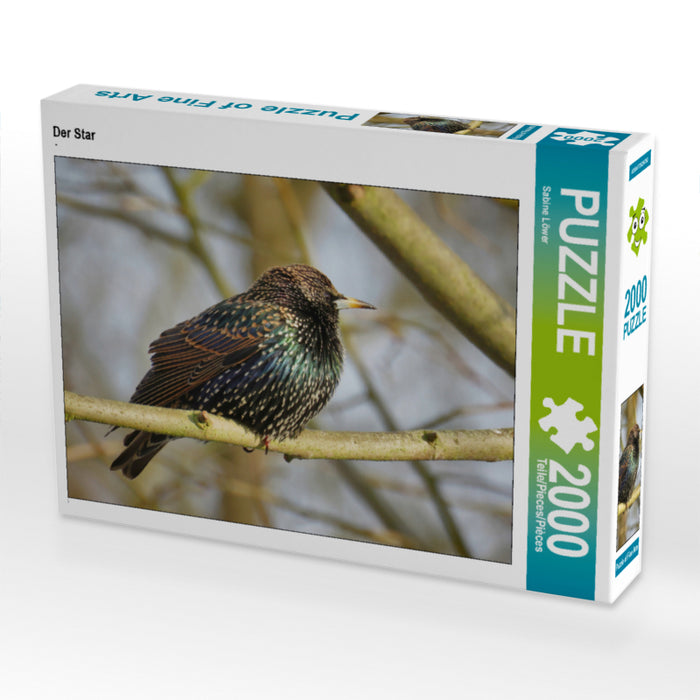 Der Star 2000 Teile Puzzle quer - CALVENDO Foto-Puzzle'