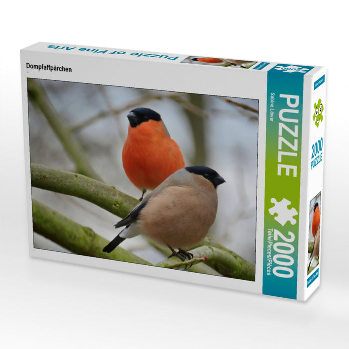 Dompfaffpärchen 2000 Teile Puzzle quer - CALVENDO Foto-Puzzle'