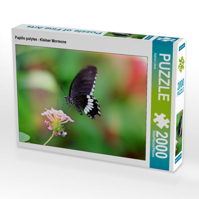 Papilio polytes - Kleiner Mormone 2000 Teile Puzzle quer - CALVENDO Foto-Puzzle'