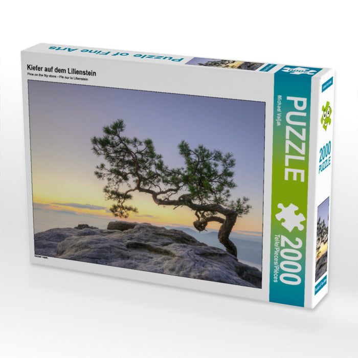 Kiefer auf dem Lilienstein 2000 Teile Puzzle quer - CALVENDO Foto-Puzzle'