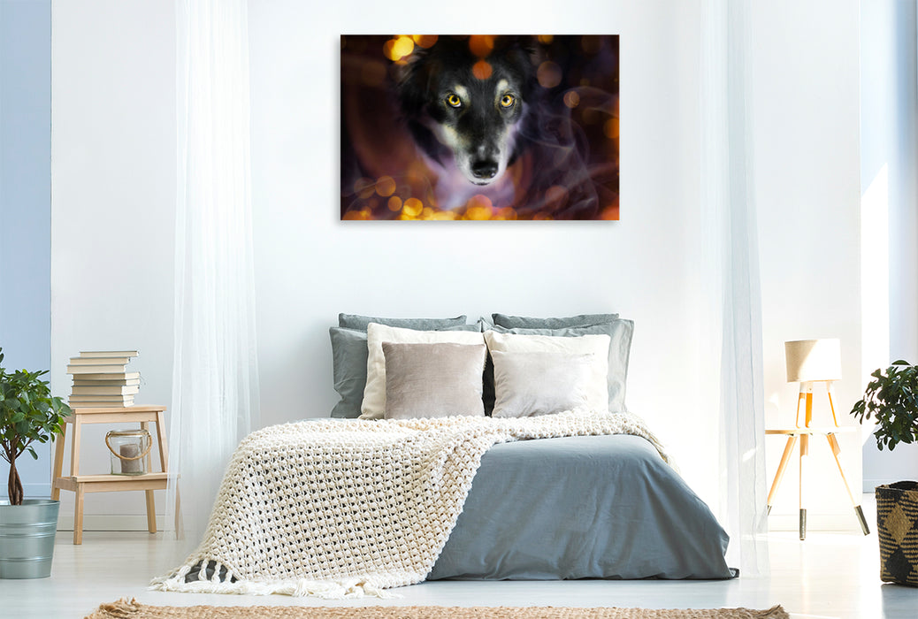 Premium textile canvas Premium textile canvas 120 cm x 80 cm across A motif from the calendar Magical Dogs - dogs that enchant us every day 