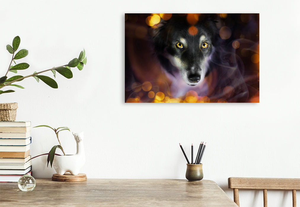 Premium textile canvas Premium textile canvas 120 cm x 80 cm across A motif from the calendar Magical Dogs - dogs that enchant us every day 