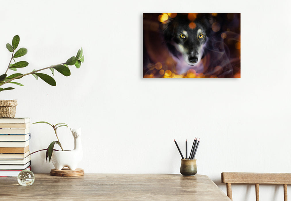 Premium textile canvas Premium textile canvas 120 cm x 80 cm across A motif from the calendar Magical Dogs - dogs that enchant us every day 