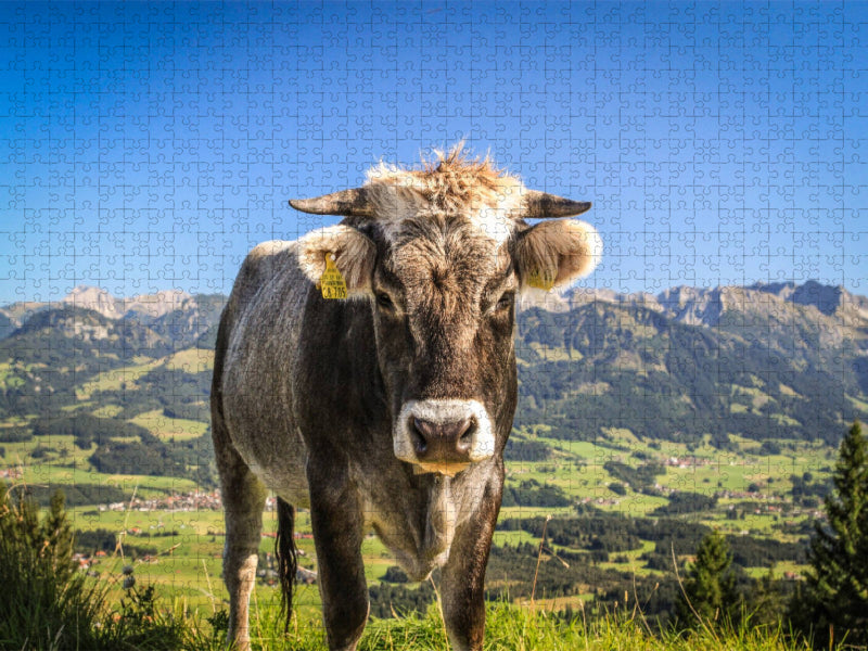 Auf dem Ofterschwanger Horn - CALVENDO Foto-Puzzle'