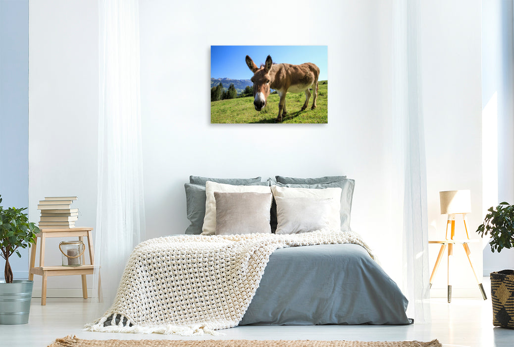 Premium textile canvas Premium textile canvas 120 cm x 80 cm across Donkey at the Hochbichl Hut 