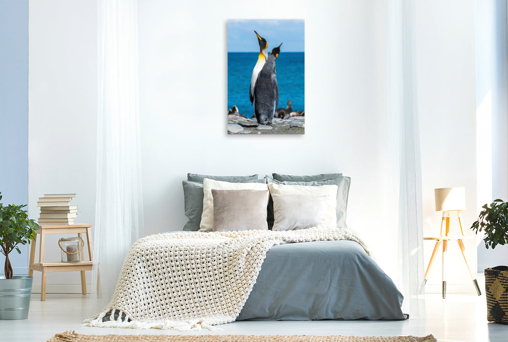 Premium Textil-Leinwand Premium Textil-Leinwand 60 cm x 90 cm hoch Den Himmel suchende Pinguine