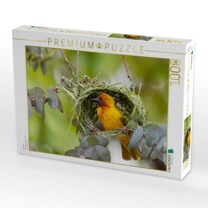 Kapweber - CALVENDO Foto-Puzzle'