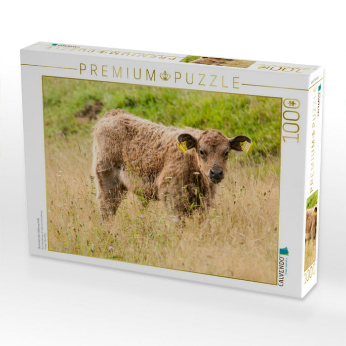 Bezauberndes Galloway Kalb - CALVENDO Foto-Puzzle'
