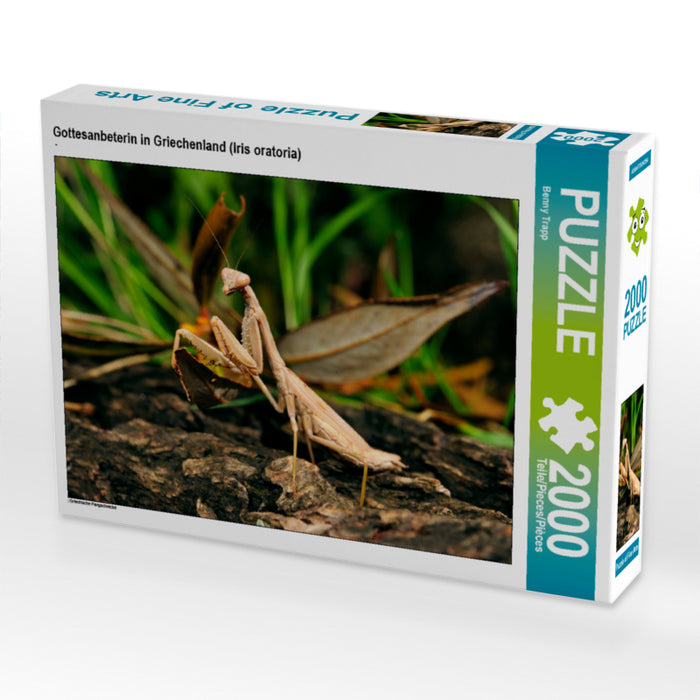 Mante religieuse en Grèce (Iris oratoria) - Puzzle photo CALVENDO 