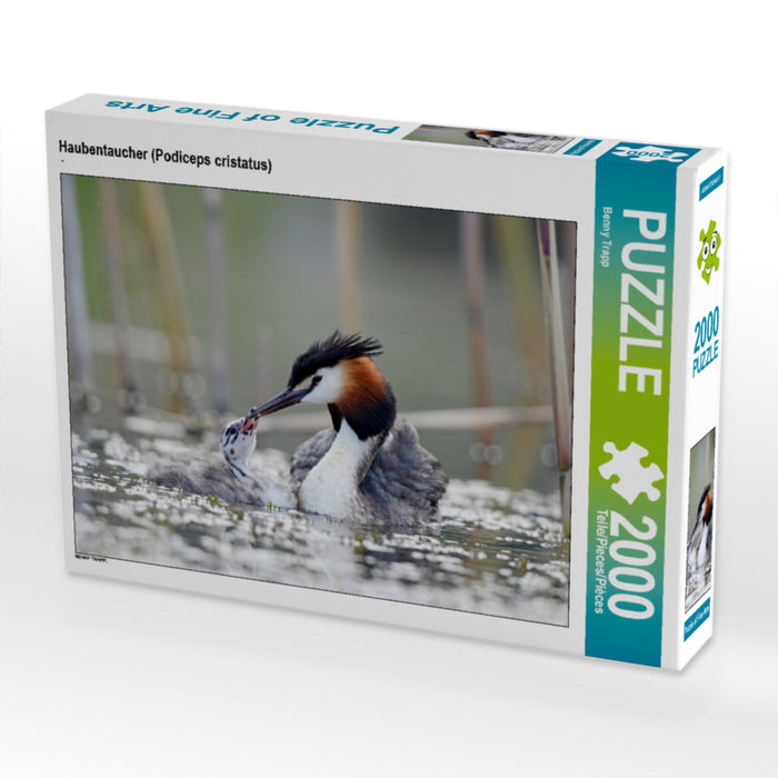 Haubentaucher (Podiceps cristatus) 2000 Teile Puzzle quer - CALVENDO Foto-Puzzle'