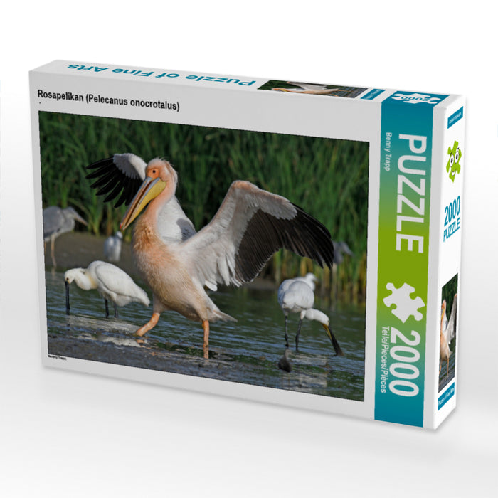 Great White Pelican (Pelecanus onocrotalus) - CALVENDO photo puzzle 