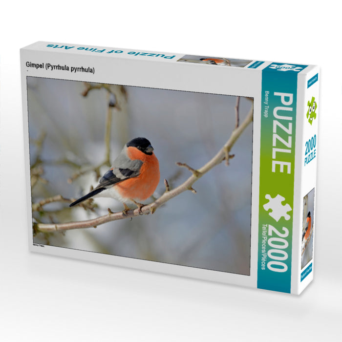 Gimpel (Pyrrhula pyrrhula) 2000 Teile Puzzle quer - CALVENDO Foto-Puzzle'