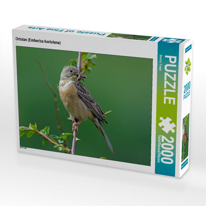 Ortolan (Emberiza hortulana) - CALVENDO photo puzzle 