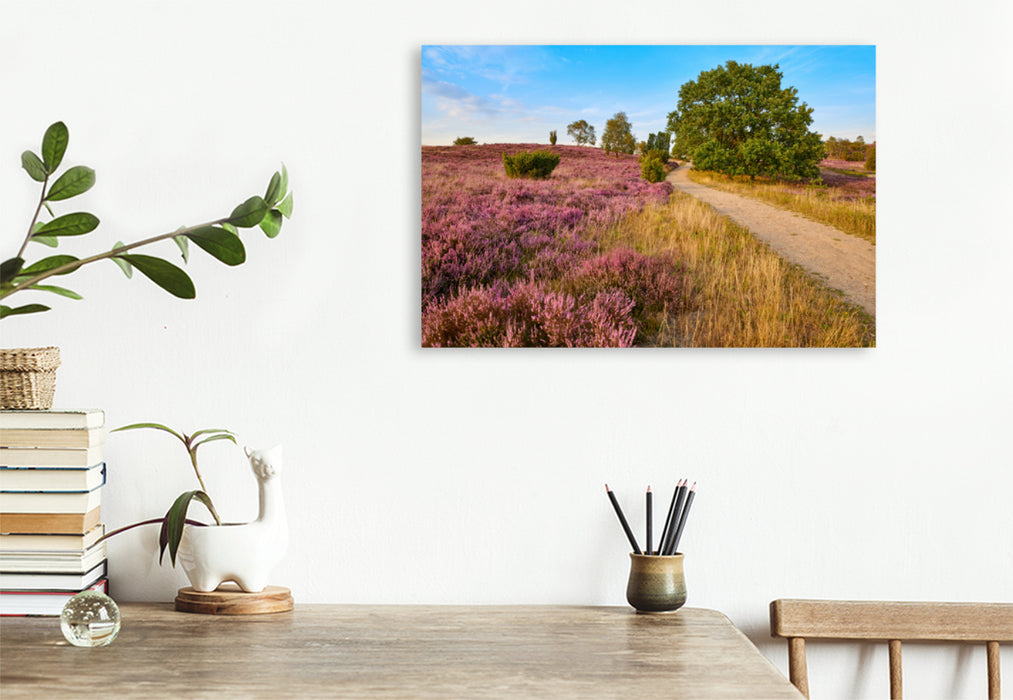 Premium textile canvas Premium textile canvas 120 cm x 80 cm across A motif from the Lower Saxony Nature calendar 