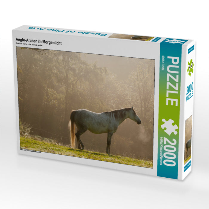 Anglo-Arabe dans la lumière du matin - Puzzle photo CALVENDO 