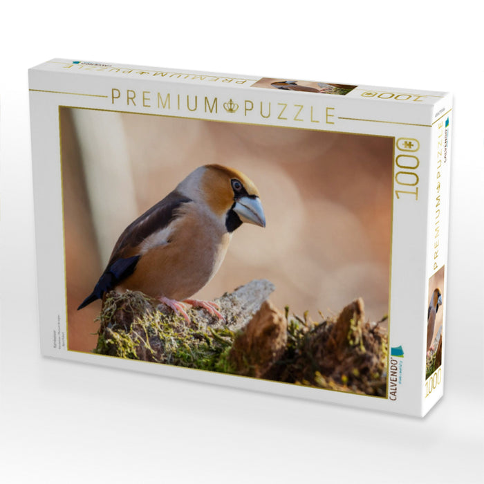 Kernbeisser - CALVENDO Foto-Puzzle'