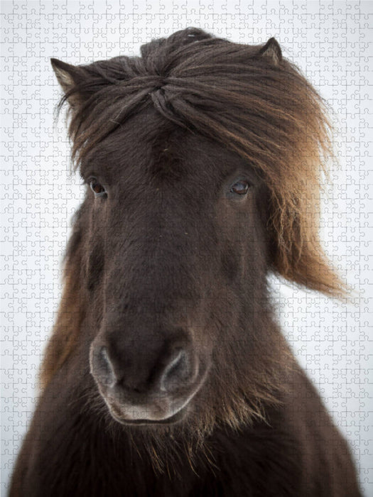 Wind in den Haaren 2000 Teile Puzzle hoch - CALVENDO Foto-Puzzle'