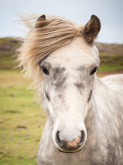 Side parting - CALVENDO photo puzzle 