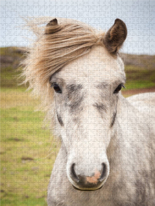 Side parting - CALVENDO photo puzzle 