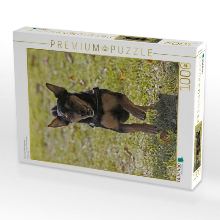 Rennender Mischlingshund - CALVENDO Foto-Puzzle'