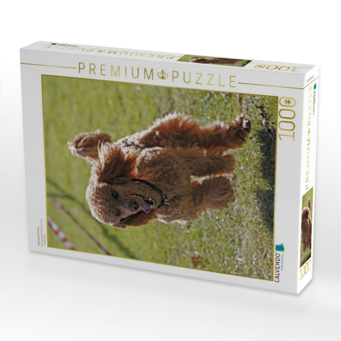 Rennender Pudel - CALVENDO Foto-Puzzle'