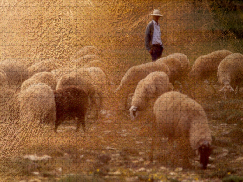 Hirte und Herde 1000 Teile Puzzle quer - CALVENDO Foto-Puzzle'