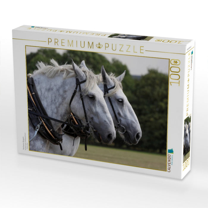 Percheron-Gespann - CALVENDO Foto-Puzzle'