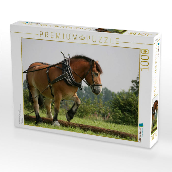 Rückepferd bei der Arbeit - CALVENDO Foto-Puzzle'