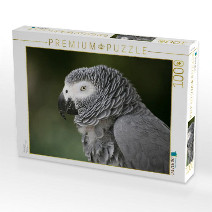 Graupapagei - CALVENDO Foto-Puzzle'