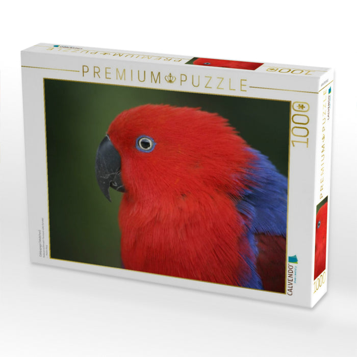 Edelpapagei (Weibchen) - CALVENDO Foto-Puzzle'