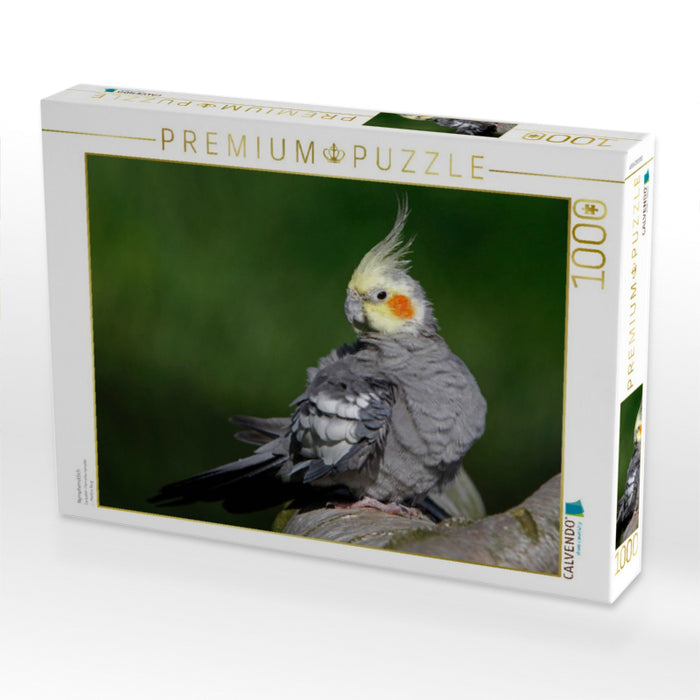 Nymphensittich - CALVENDO Foto-Puzzle'