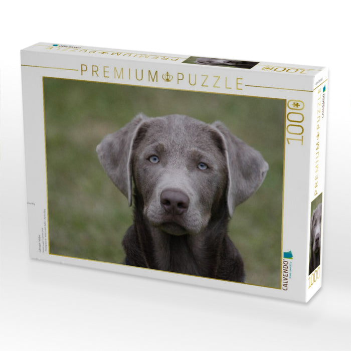 Labrador-Welpe - CALVENDO Foto-Puzzle'