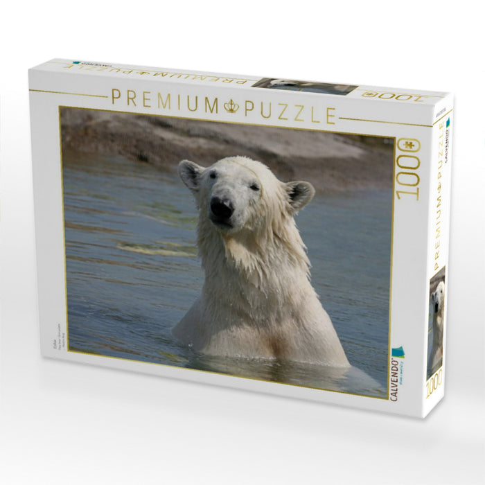 Eisbär - CALVENDO Foto-Puzzle'