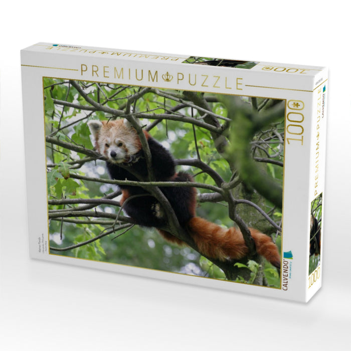 Kleiner Panda - CALVENDO Foto-Puzzle'