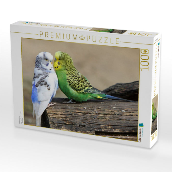 Wellensittiche - CALVENDO Foto-Puzzle'