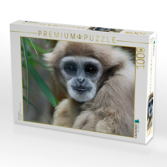 Weißhandgibbon - CALVENDO Foto-Puzzle'