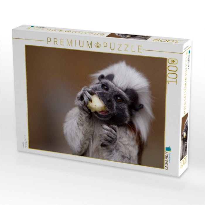 Lisztaffe - CALVENDO Foto-Puzzle'