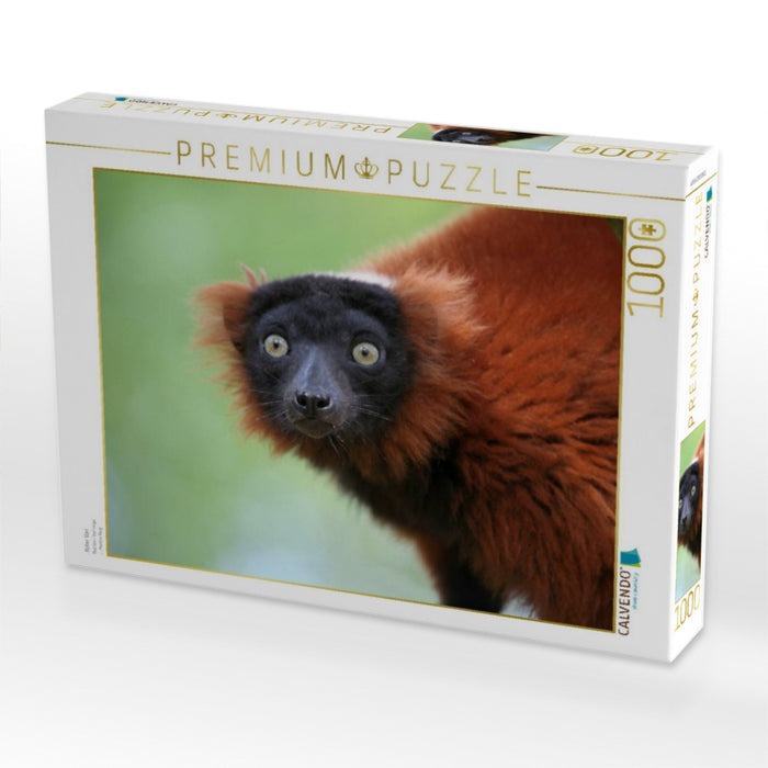 Roter Vari - CALVENDO Foto-Puzzle'