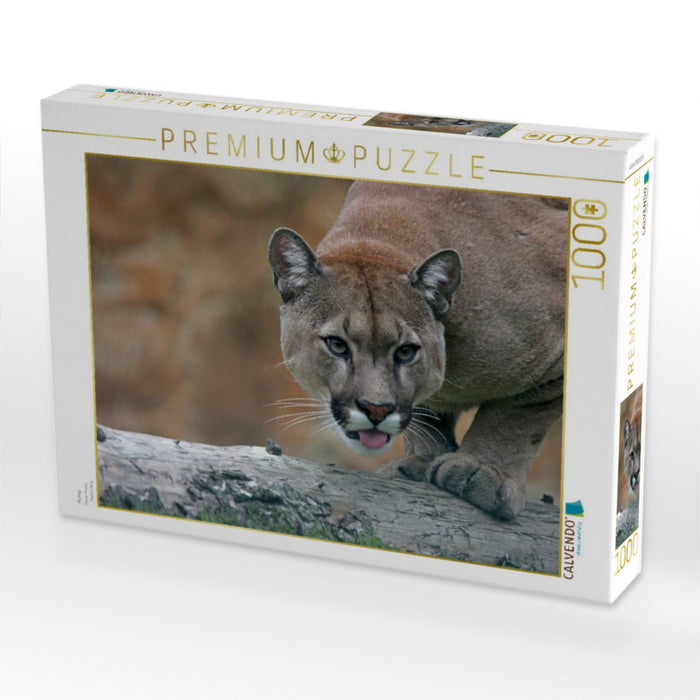 Puma - CALVENDO Foto-Puzzle'