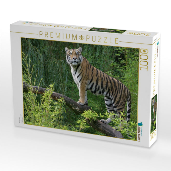 Armurtiger - CALVENDO Foto-Puzzle'