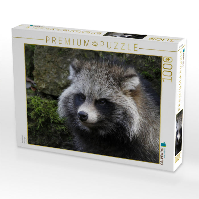 Marderhund - CALVENDO Foto-Puzzle'