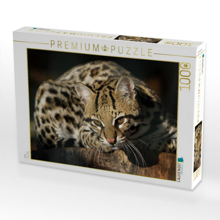 Ozelot - CALVENDO Foto-Puzzle'