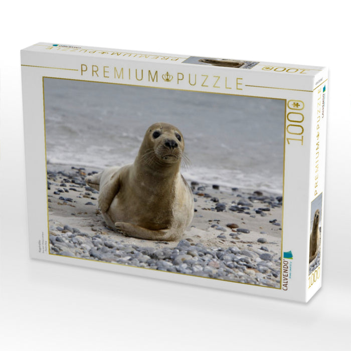 Kegelrobbe - CALVENDO Foto-Puzzle'
