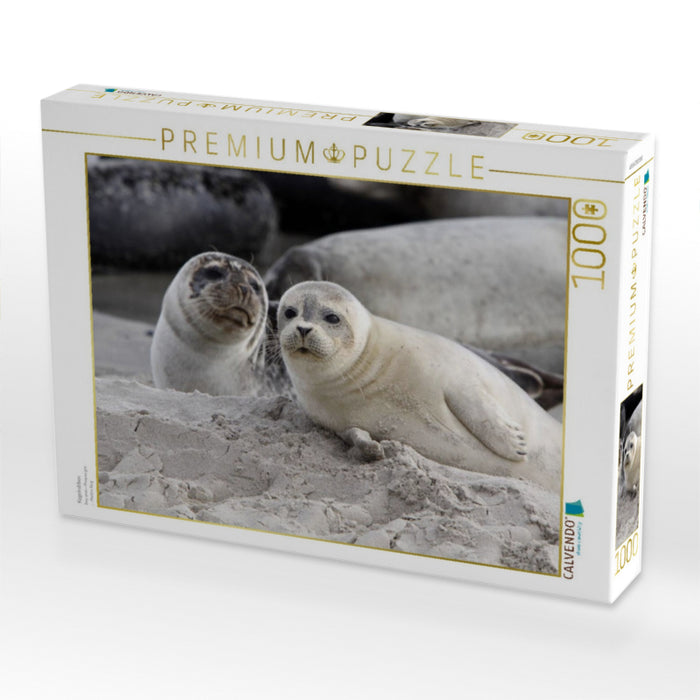 Kegelrobben - CALVENDO Foto-Puzzle'