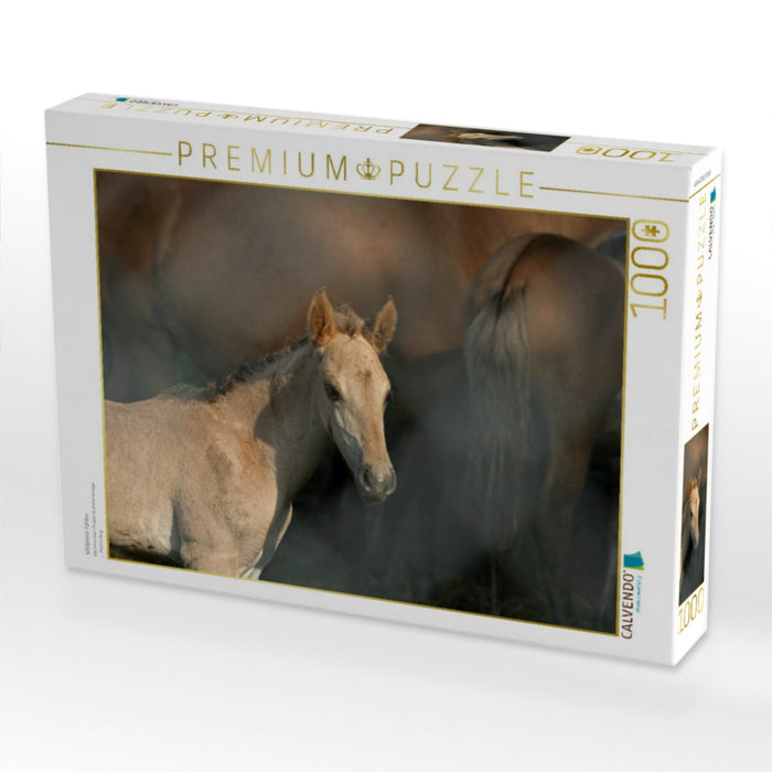 Wildpferd-Fohlen - CALVENDO Foto-Puzzle'