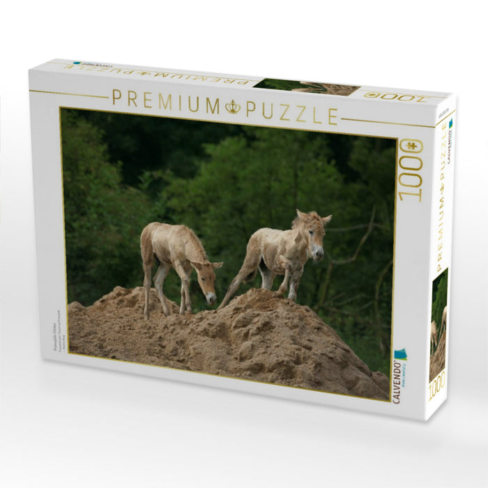 Przewalski-Fohlen - CALVENDO Foto-Puzzle'