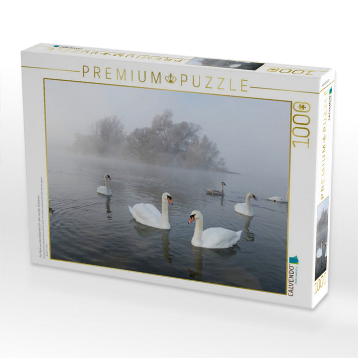Ein Motiv aus dem Kalender Ein Jahr mit den Schwänen - CALVENDO Foto-Puzzle'